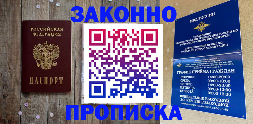 временная регистрация надежно в Завитинске